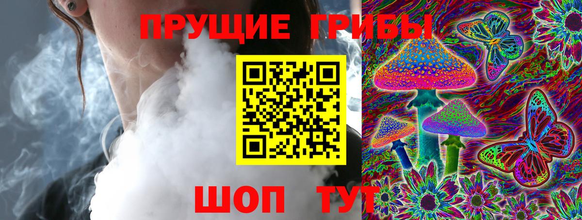 Псилоцибиновые грибы прущие грибы Ростов Великий